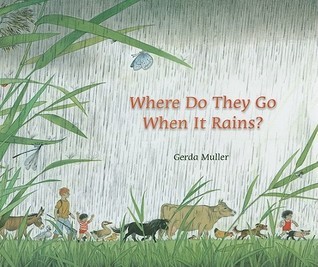 Where Do They Go When It Rains?