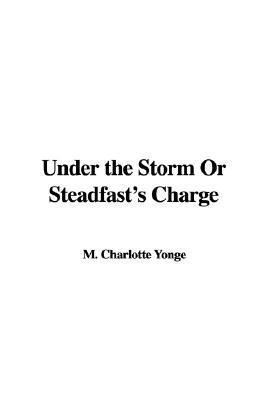 Under the Storm book cover