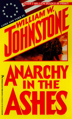 Ashes book cover 3