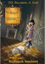 I gialli di vicolo Voltaire book cover 1