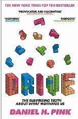 Drive: The Surprising Truth About What Motivates Us