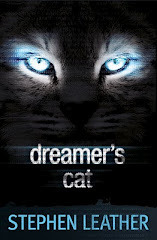 Dreamer's Cat book cover