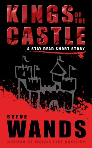 Kings of the Castle book cover