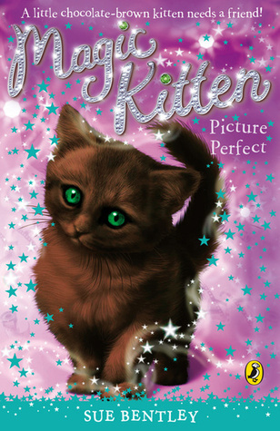 Picture Perfect book cover