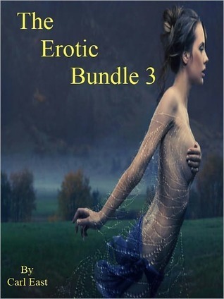 The Erotic Bundle 3 book cover