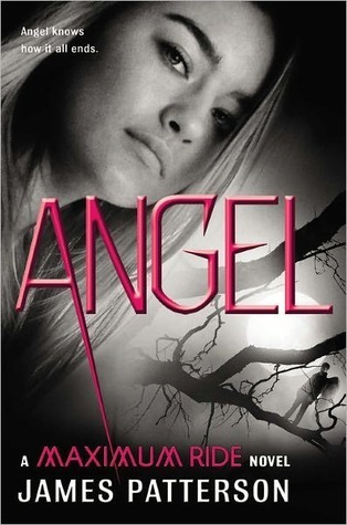 Angel (Maximum Ride, #7)
