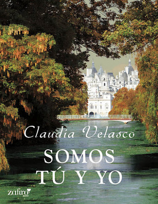 Somos tú y yo book cover
