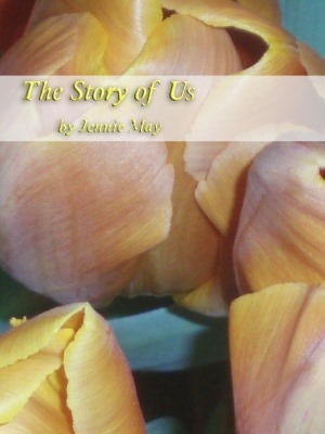 The Story of Us book cover