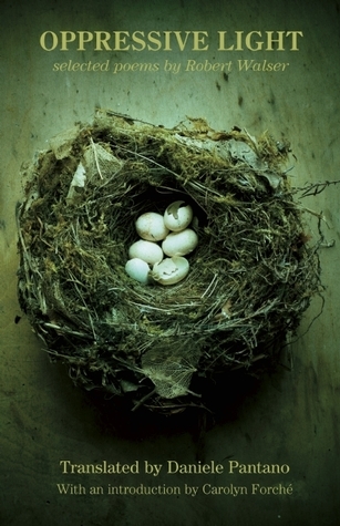 Oppressive Light book cover