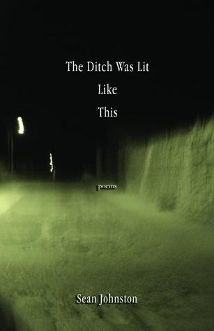 The Ditch Was Lit Like This book cover