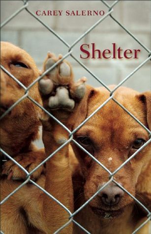 Shelter book cover