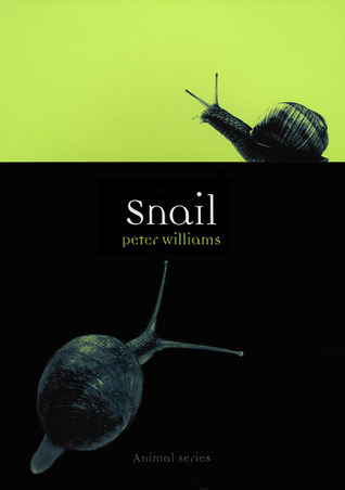 Snail book cover