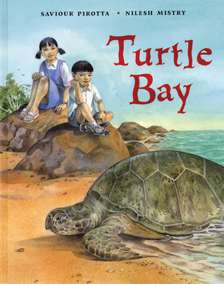 Turtle Bay book cover