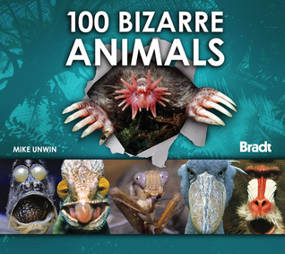 100 Bizarre Animals (Bradt Travel Guides book cover