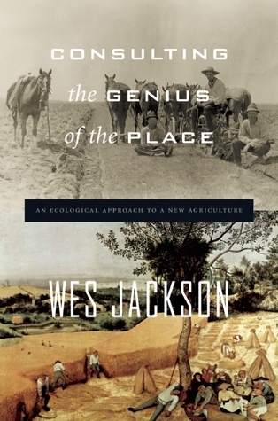 Consulting the Genius of the Place book cover