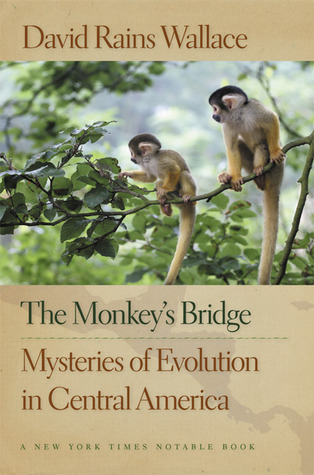 The Monkey's Bridge book cover