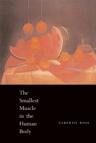 The Smallest Muscle in the Human Body book cover