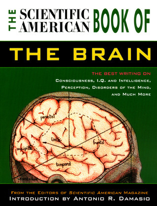 Book of the Brain book cover