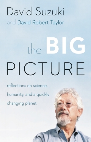 The Big Picture book cover