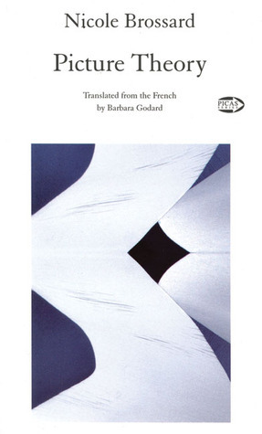 Picture Theory book cover