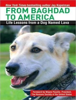 From Baghdad to America: Life Lessons from a Dog Named Lava