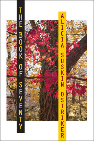The Book of Seventy book cover