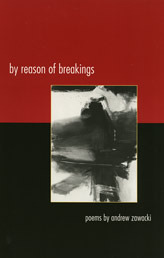 By Reason of Breakings book cover