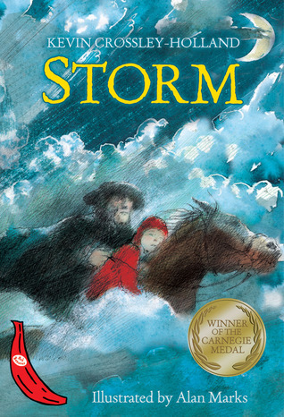 Storm book cover