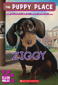 Ziggy book cover