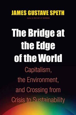 The Bridge at the Edge of the World book cover