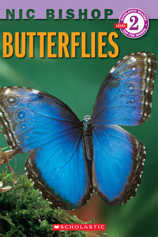 Butterflies book cover