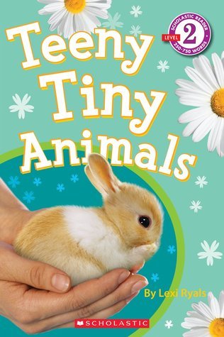 Teeny Tiny Animals book cover