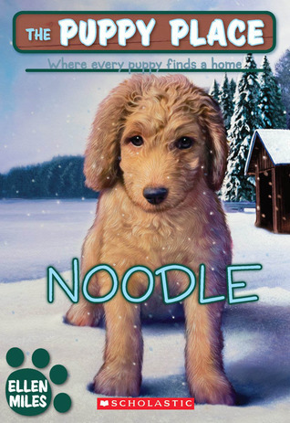 Noodle book cover