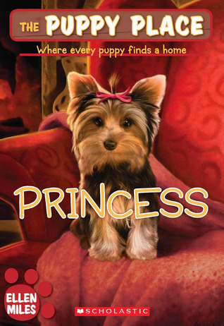 Princess book cover