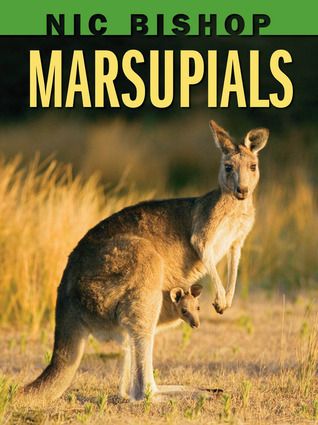 Marsupials book cover