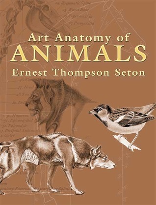 Art Anatomy of Animals book cover
