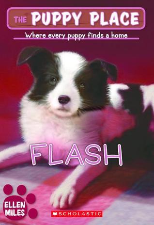 Flash book cover
