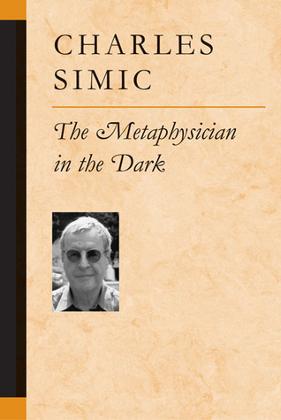The Metaphysician in the Dark book cover