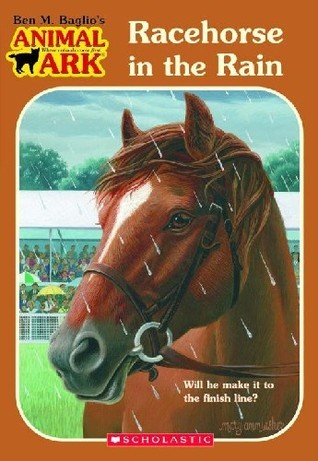 Racehorse in the Rain book cover