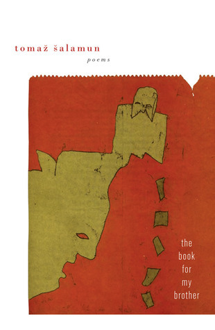 The Book For My Brother book cover