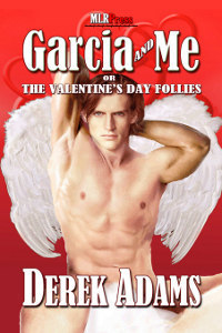 Garcia and Me or the Valentine's Day Follies book cover