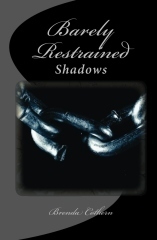 Shadows book cover 3
