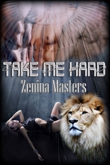Take Me Hard book cover