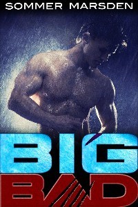 Big Bad book cover