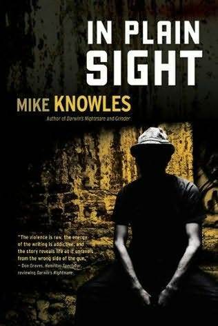 In Plain Sight book cover