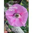 My Morning Glory and other flashes of absurd science fiction book cover