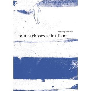 Toutes choses scintillant book cover