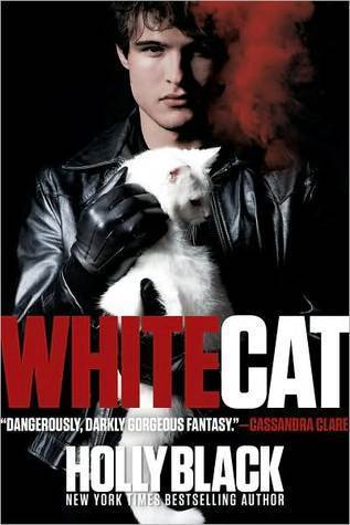 White Cat (Curse Workers, #1)
