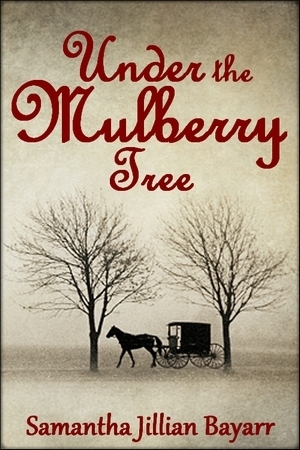 Amish Daughters book cover 3