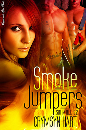 Storm Riders book cover 2